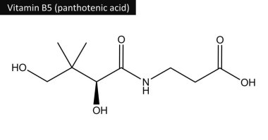 Panthotenic asit (vitamin B5 moleküler yapısı)