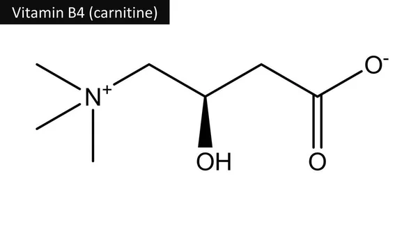 Molekulární struktura karnitinu (vitamín B4) — Stock fotografie