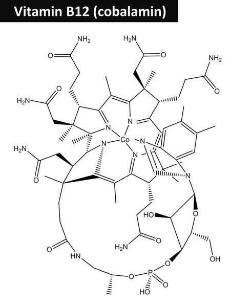 Molecular structure of cobalamin (vitamin B12)