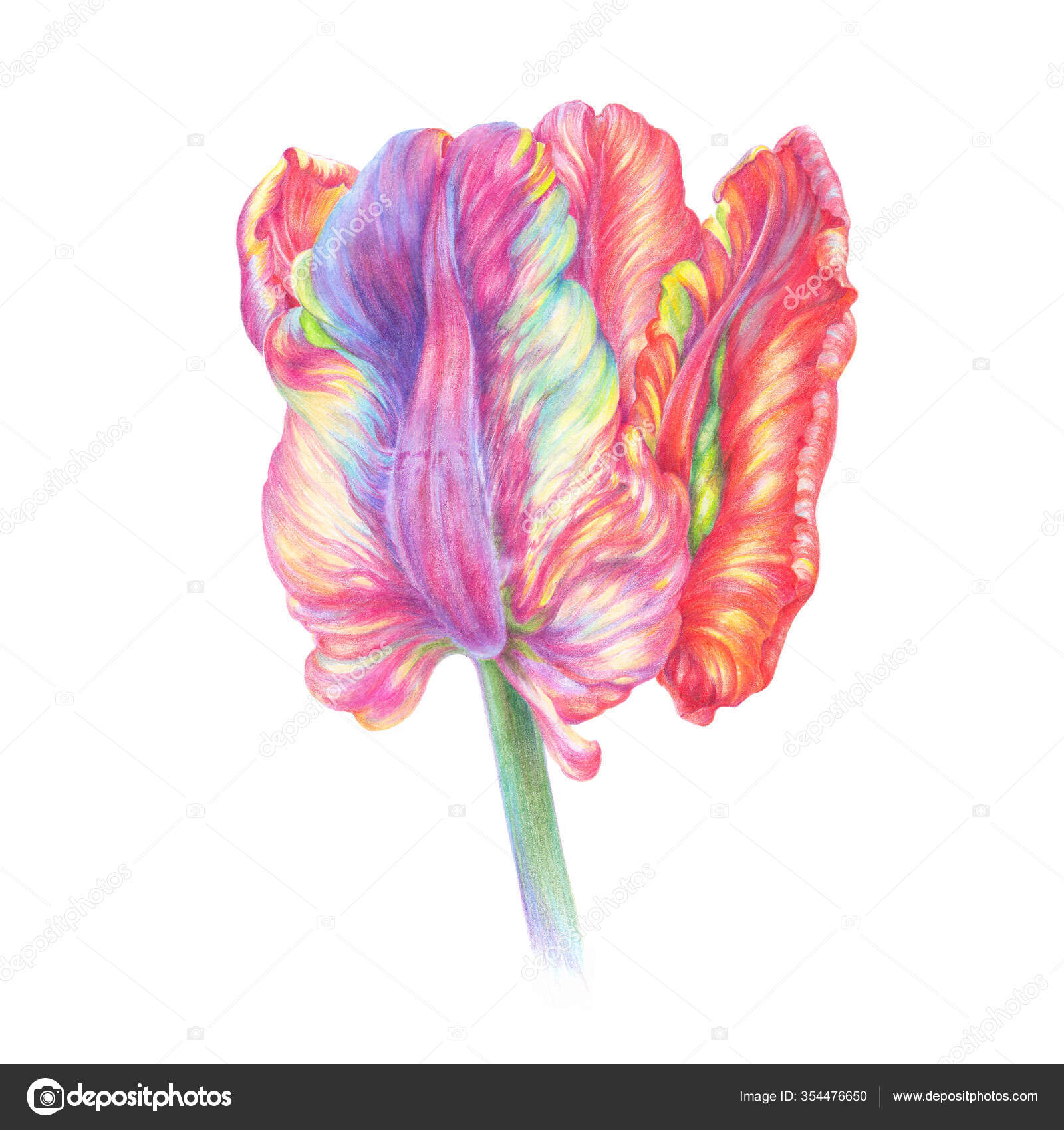 ポートフォリオ Vensk ストック写真 イラストとベクターアート Depositphotos ポートフォリオ Vensk ストック写真 イラストとベクターアート Depositphotos