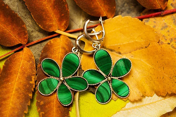 Dekorasyon, sonbahar yaprakları üzerinde kostüm takı