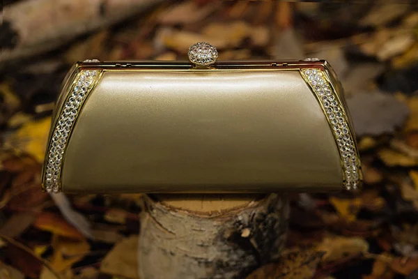 Female clutch of gold color — Stock Photo, Image