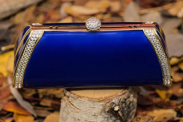 Female blue clutch on autumn leaves — Stock Photo, Image