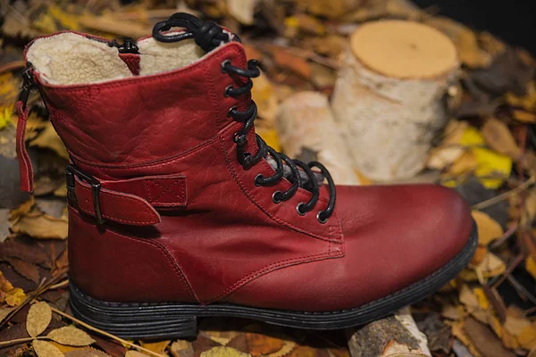 Female autumn boot in red on autumn leaves — Stock Photo, Image