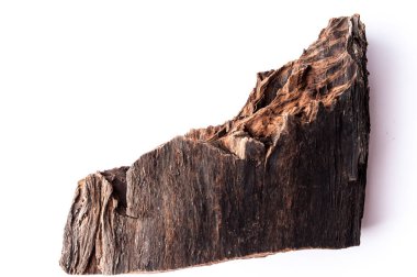 Beyaz arkaplanda eski bir kütük