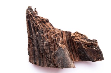 Beyaz arkaplanda eski bir kütük