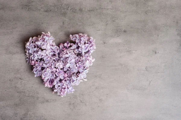 Fleurs Lilas Forme Coeur Sur Fond Gris Photos De Stock Libres De Droits