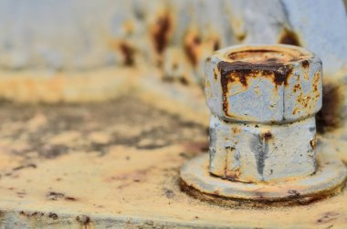 Büyük paslı metal fındık