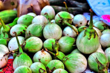 Sarı berried itüzümü