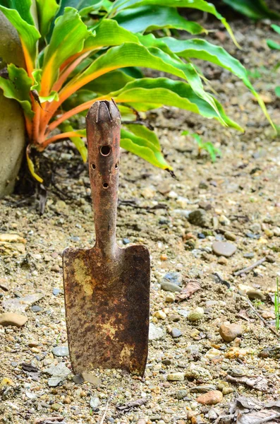 Rusty Bahçe aletleri