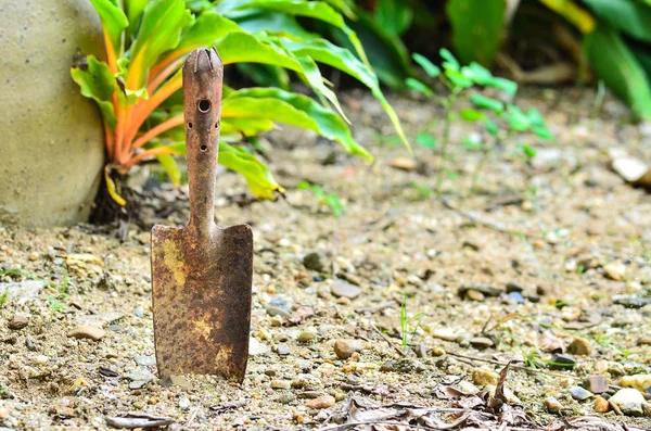 Rusty Bahçe aletleri