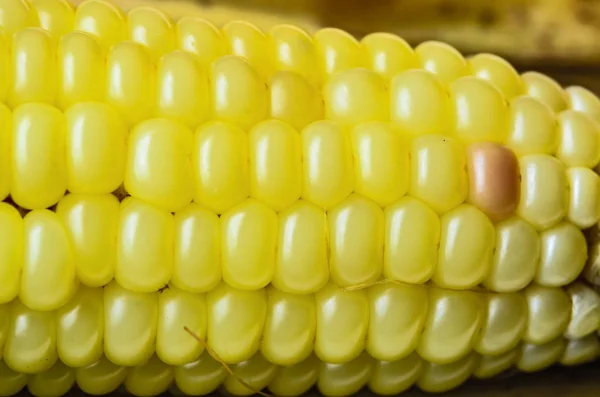 Boiled corn background — Stock Photo, Image