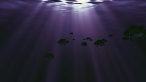 Víz alatti fénysugarak — Stock videók