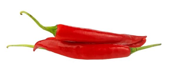 Röd chili på vit — Stockfoto