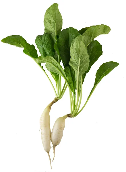 White radish on white — Stock Photo, Image