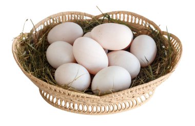 Ördek yumurta izole