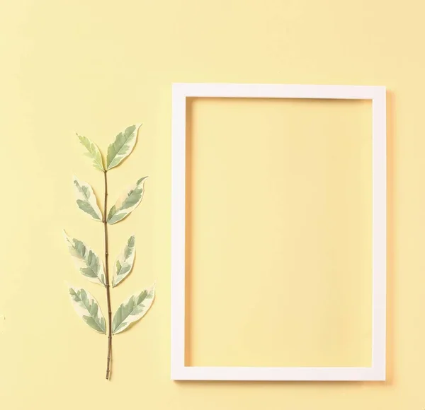 Nature concept - frame made from white photo frame  and fresh leave on pastel yellow background with copy space