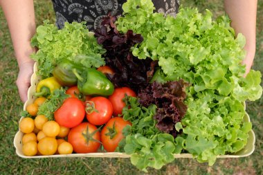 Organik meyve ve sebze sepeti