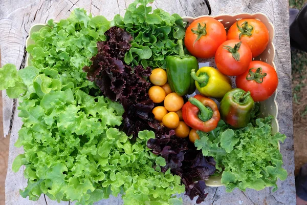 Organiczne owoce i warzywa w koszyku — Zdjęcie stockowe