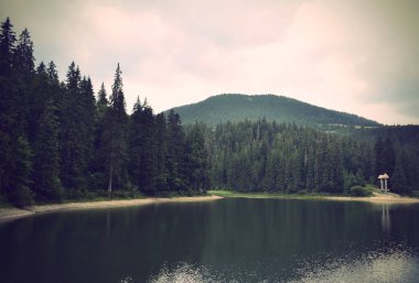 Warren Synevyr Dağı Gölü Karpatya, Ukrayna.