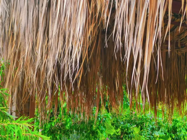 Revestimento de folhas de palma secas no telhado close-up — Fotografia de Stock