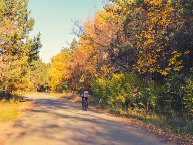 Sonbahar parkında koşmak için asfalt yol. Arka planda bir bisikletçi ve bir koşucu.