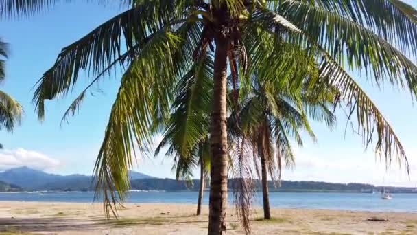 Palmiers et vue sur la mer de la promenade de Subic Bay, Zambales, Luçon Nord, Philippines Steady Cam 