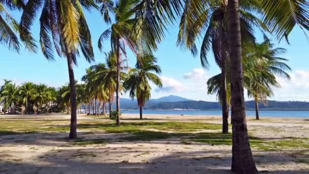 Palmiers et vue sur la mer de la promenade de Subic Bay, Zambales, Luçon Nord, Philippines Steady Cam 