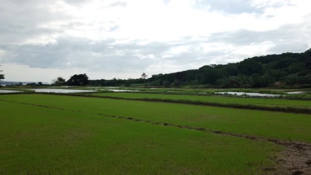 Vue de la Province Terrain agricole à Zambales, aux Philippines, Slow Cam 