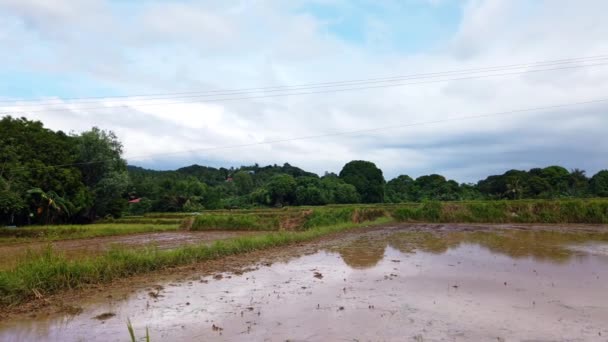 Vue Province Terrain Agricole Zambales Aux Philippines Slow Cam — Video