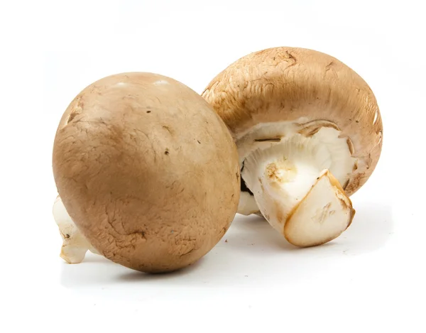 Frische Champignons braune Version isoliert — Stockfoto