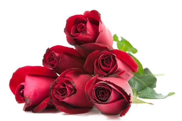 Rode rozen boeket — Stockfoto