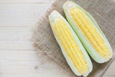 çuval arka plan üzerinde iki Mısır