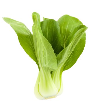 Bebek Pak Choy beyaz