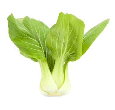 Bebek Pak Choy beyaz