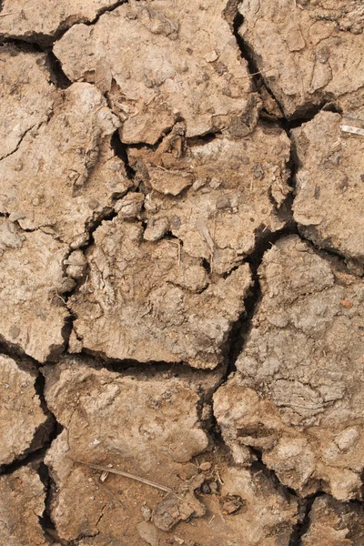 Cracked earth arid background — Stock Photo, Image