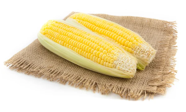 Dos maíz en saco fondo —  Fotos de Stock