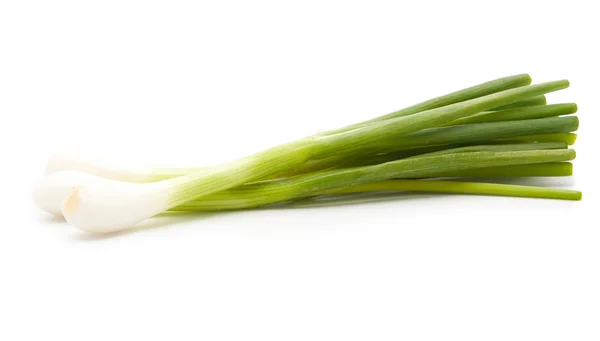 Zelené cibule, samostatný — Stock fotografie