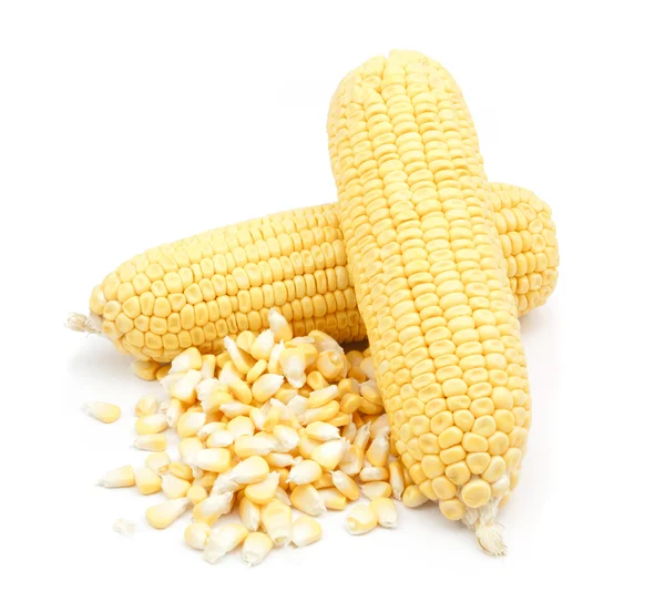 Kukorica és elszigetelt konzerv kukorica — Stock Fotó