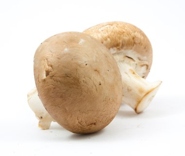 izole taze petrol kahverengi sürüm 