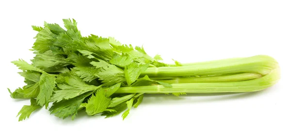 Celery isolated on white background — Stock Photo, Image