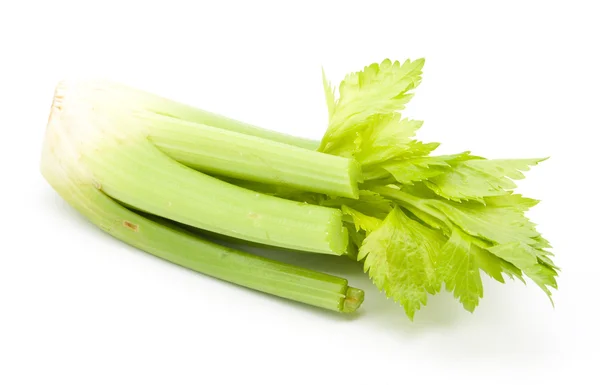 Celer izolovaný na bílém pozadí — Stock fotografie