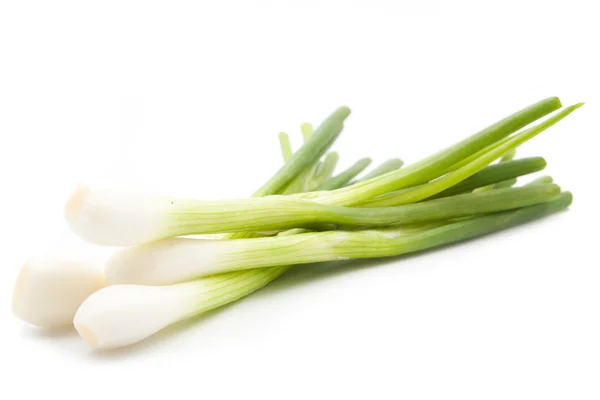 Green onion isolated — Stock Photo, Image