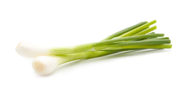 Green onion isolated — Stock Photo, Image