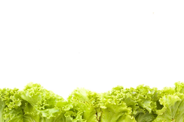 Frame fresh lettuce leaves close up isolated on white background — Stock Photo, Image