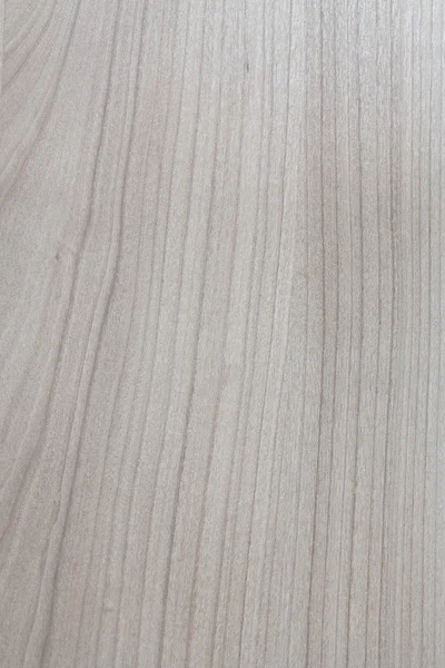 Textura de madeira loira — Fotografia de Stock