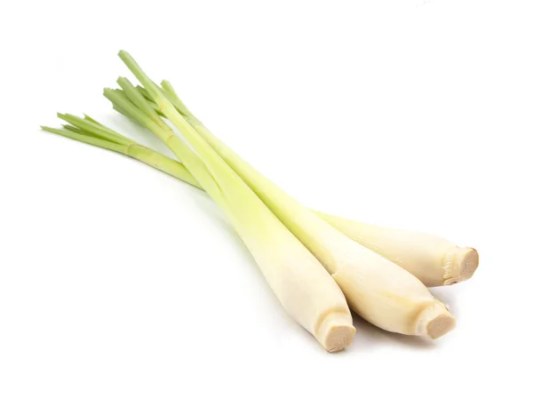 Lemon grass on white — Stock Photo, Image