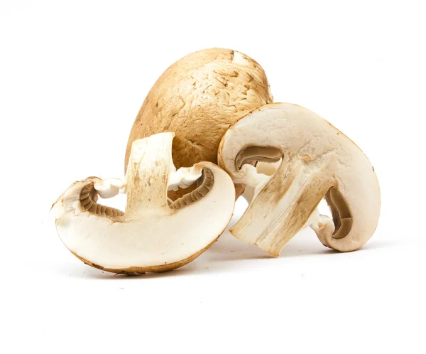 izole taze petrol kahverengi sürüm 