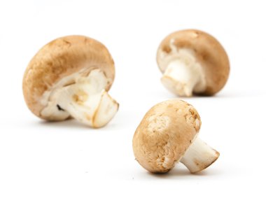 izole taze petrol kahverengi sürüm 