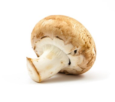 izole taze petrol kahverengi sürüm 